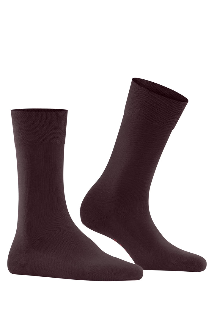 Sensitive London Women Socks Barolo