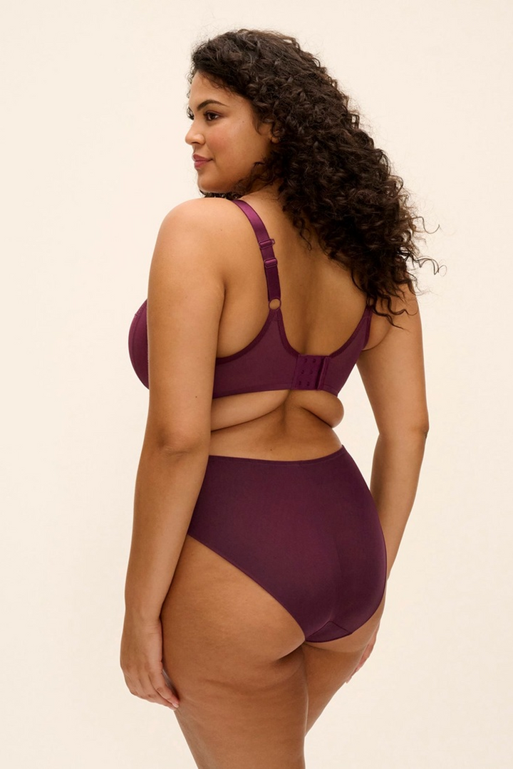 Reja Brief Fig