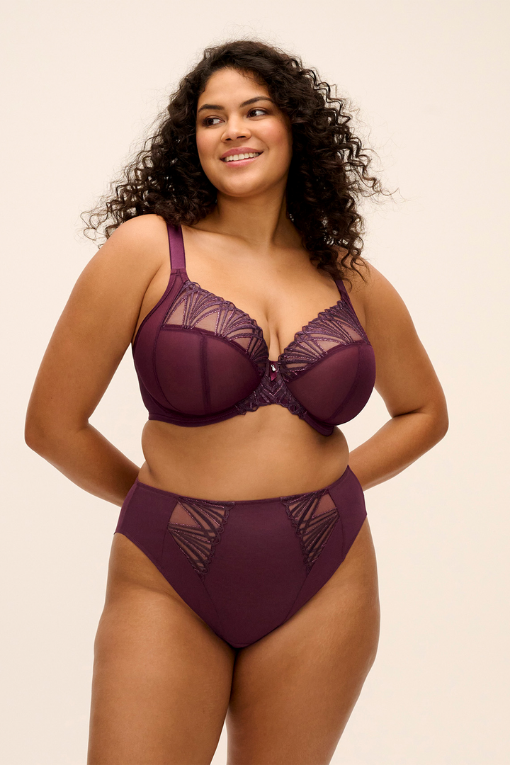 Reja Brief Fig