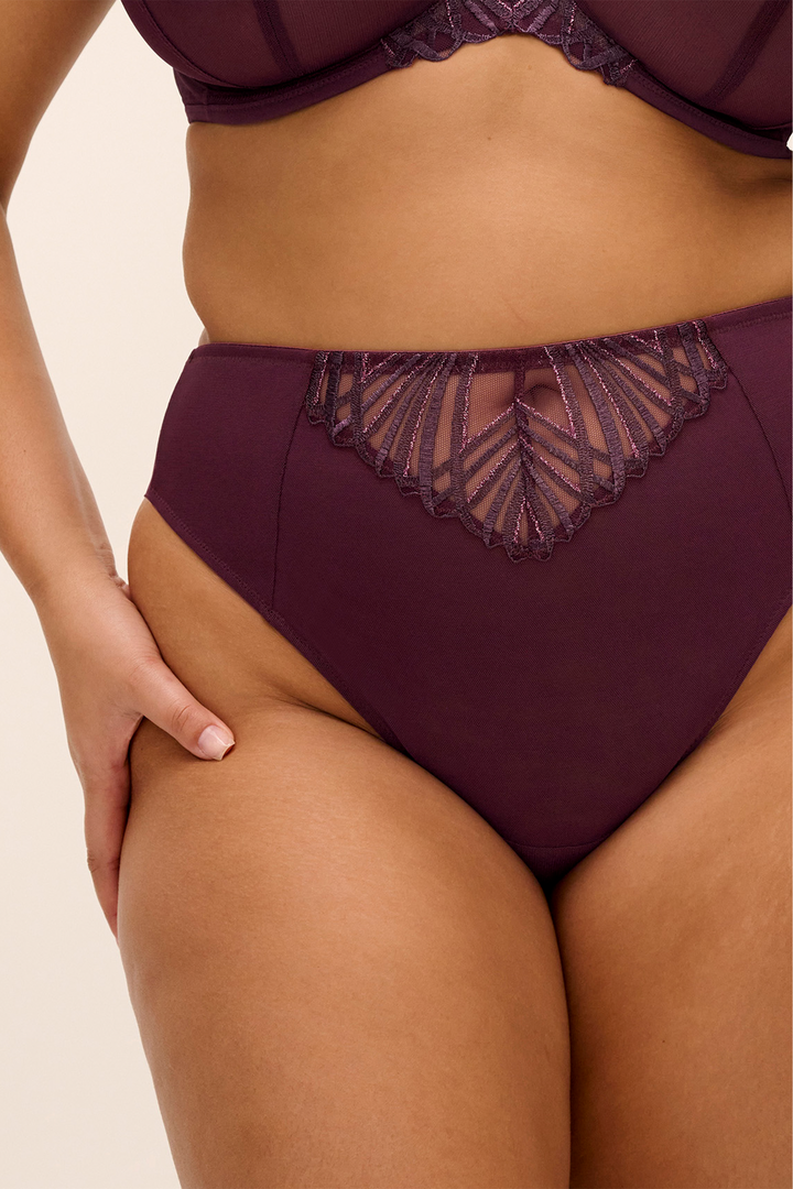Reja Brazilian Brief Fig