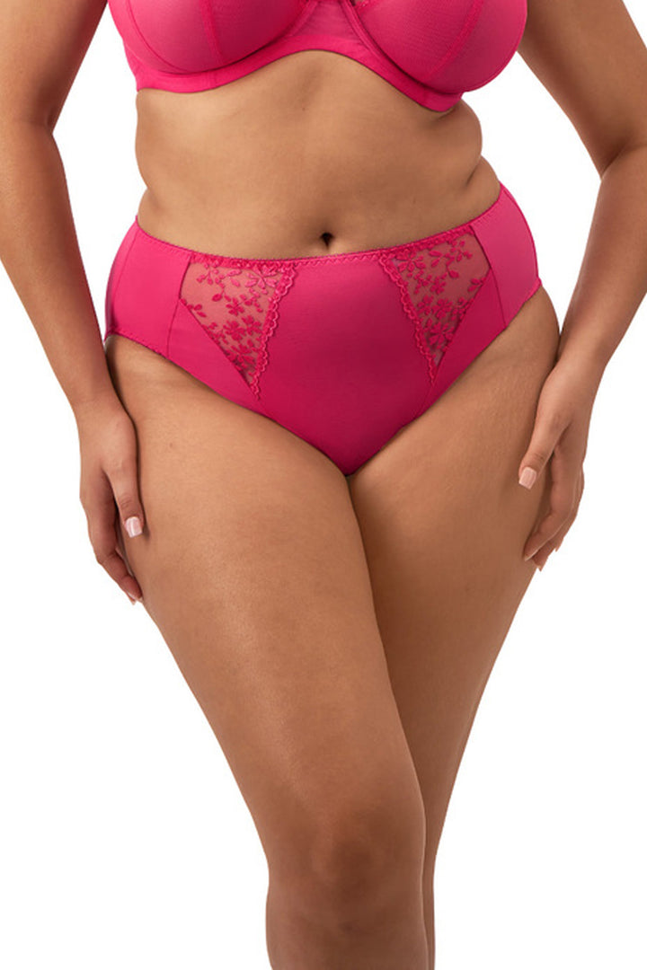 Zarla High Leg Brief Love Potion